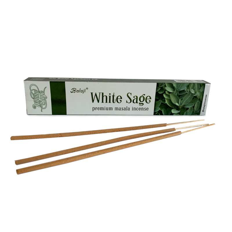 White Sage 2 Web